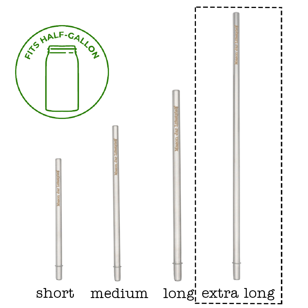 Individual Stainless Steel & Glass Straws for Mason Jars