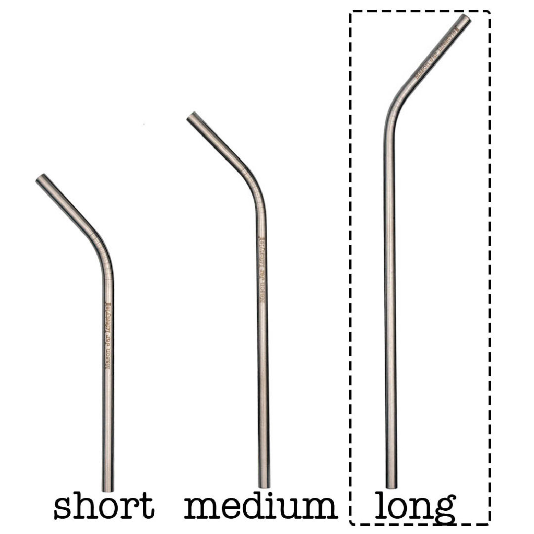 Individual Stainless Steel & Glass Straws for Mason Jars
